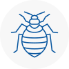 Bed Bug Extermination In Woburn