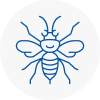 Woburn Hornet Nest Removals