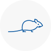 Mice Exterminators In Woburn