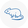 Rat Control Woburn