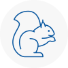 Woburn Rodent Removals